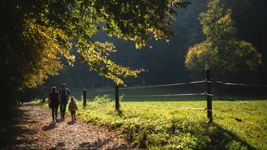 Spaziergänger mit Herbstlaub