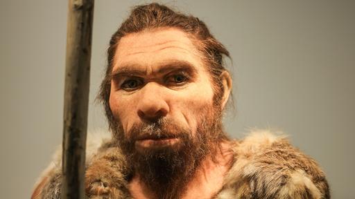Geringe Vielfalt wurde Neandertalern zum Verhängnis