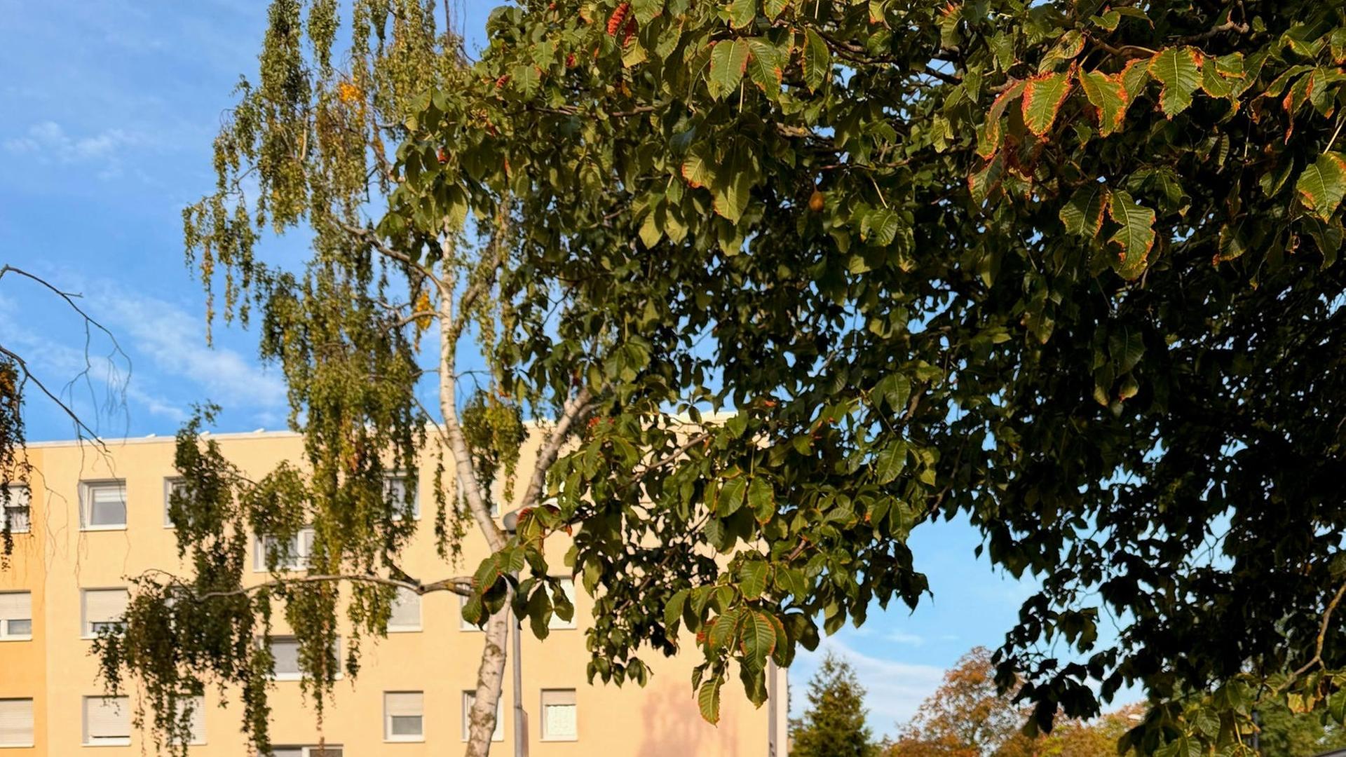 Bad Nauheim: Blitzer sollen illegale Müllentsorgung festhalten