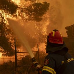 Ein Feuerwehrmann bekämpft einen Waldbrand in der Nähe von Athen