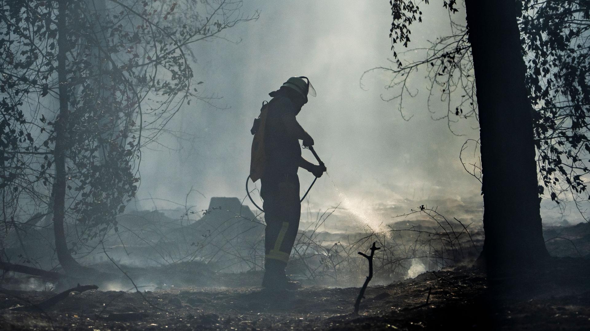 Ein Feuerwehrmann ist mit Löscharbeiten in einem Waldstück in Hessen beschäftigt. | Andreas Arnold/dpa