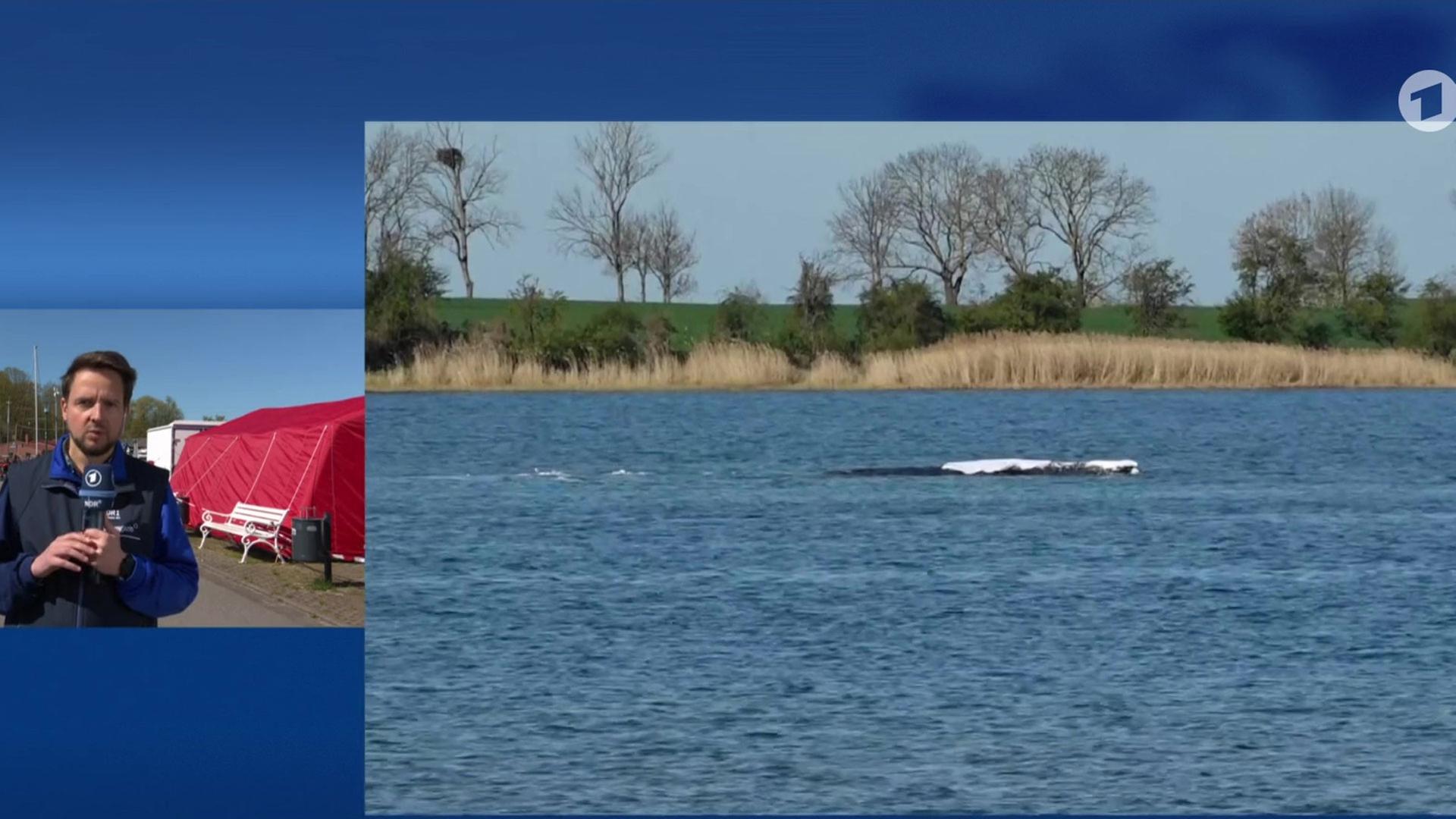 Sendungsbild | ARD-aktuell