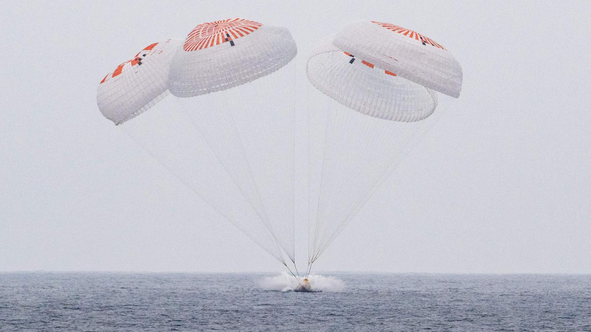 Vier ISS-Astronauten wieder auf der Erde